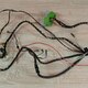 проводка автономного отопителя б/у \ нештатные провода